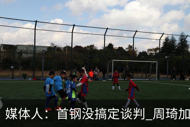 媒体人：首钢没搞定谈判 周琦加盟可能要黄
